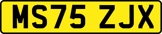 MS75ZJX