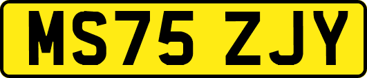 MS75ZJY