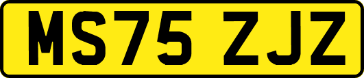 MS75ZJZ