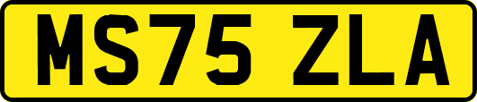 MS75ZLA