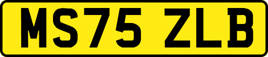 MS75ZLB