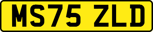 MS75ZLD