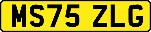 MS75ZLG