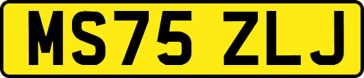 MS75ZLJ