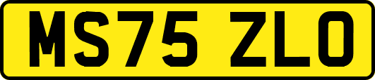 MS75ZLO