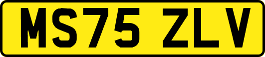 MS75ZLV