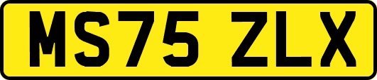 MS75ZLX