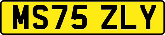 MS75ZLY