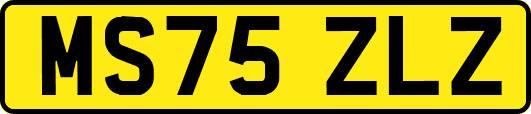 MS75ZLZ