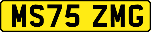 MS75ZMG