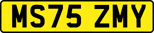MS75ZMY