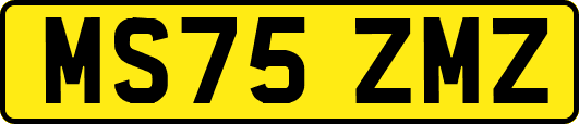 MS75ZMZ