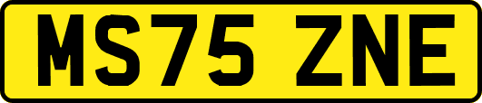 MS75ZNE