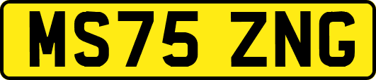 MS75ZNG