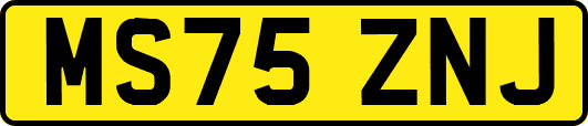 MS75ZNJ