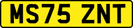 MS75ZNT