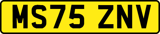 MS75ZNV