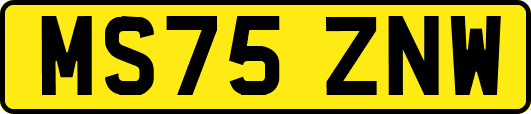 MS75ZNW