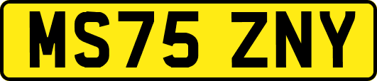 MS75ZNY