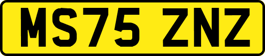 MS75ZNZ