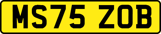 MS75ZOB