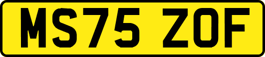 MS75ZOF