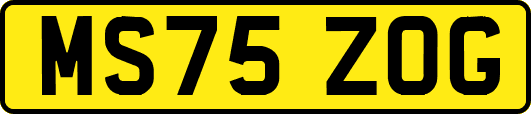 MS75ZOG