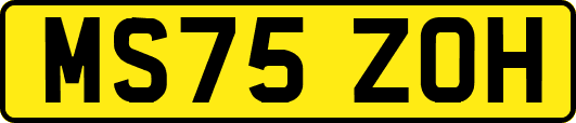 MS75ZOH