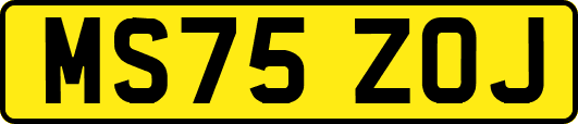 MS75ZOJ