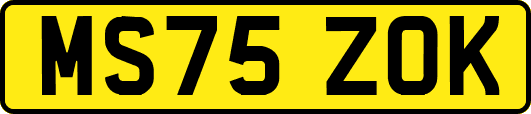 MS75ZOK