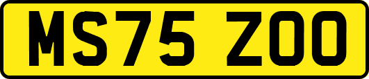 MS75ZOO