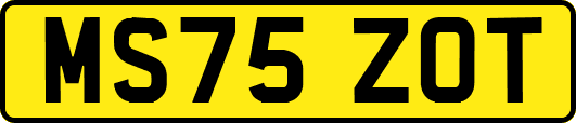 MS75ZOT