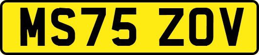 MS75ZOV