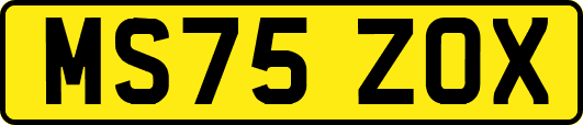 MS75ZOX