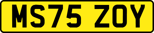 MS75ZOY