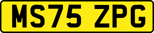MS75ZPG