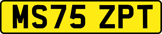 MS75ZPT