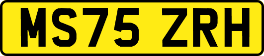 MS75ZRH