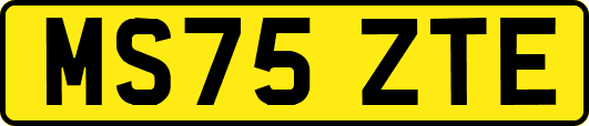 MS75ZTE