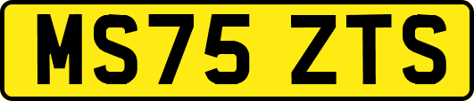 MS75ZTS