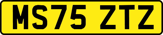 MS75ZTZ