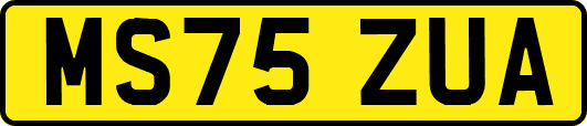 MS75ZUA