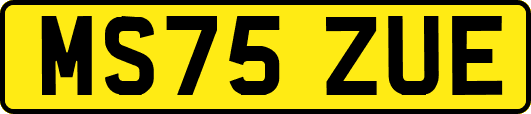 MS75ZUE
