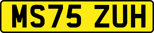 MS75ZUH