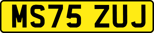 MS75ZUJ
