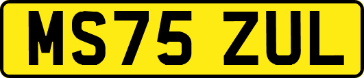 MS75ZUL