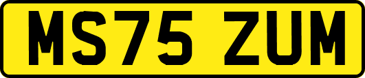 MS75ZUM