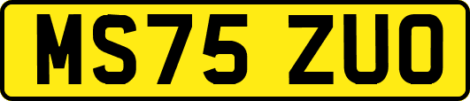 MS75ZUO