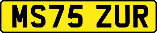 MS75ZUR