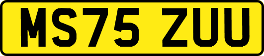 MS75ZUU